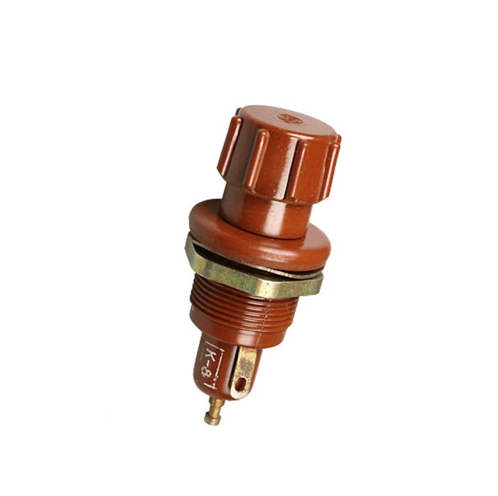 ДПК1-1Т ОАО «Сейм» Путивль, фото